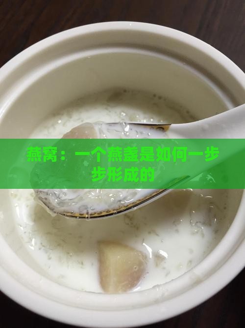 燕窝：一个燕盏是如何一步步形成的