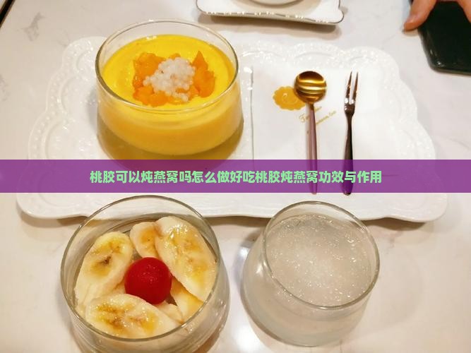 桃胶可以炖燕窝吗怎么做好吃桃胶炖燕窝功效与作用