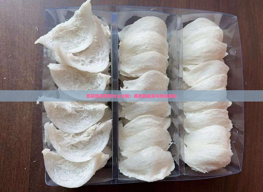 燕窝跟毛燕有什么分别：两者的差异与特点解析