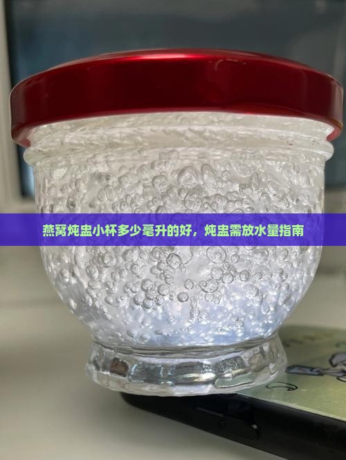燕窝炖盅小杯多少毫升的好，炖盅需放水量指南