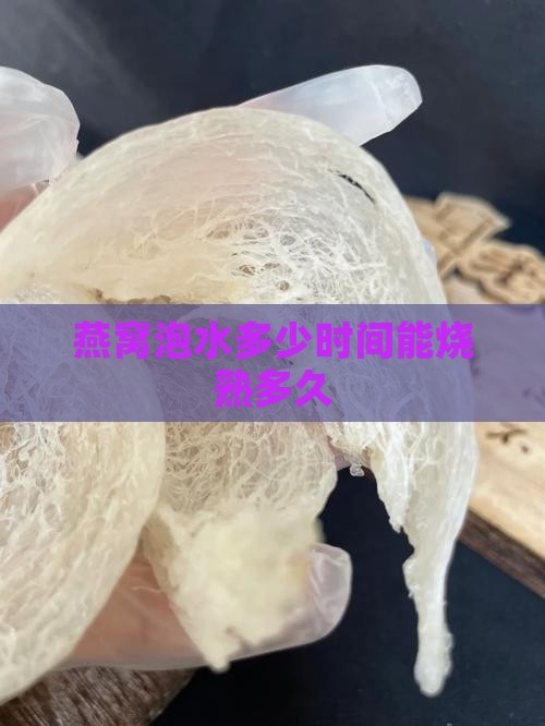 燕窝泡水多少时间能烧熟多久