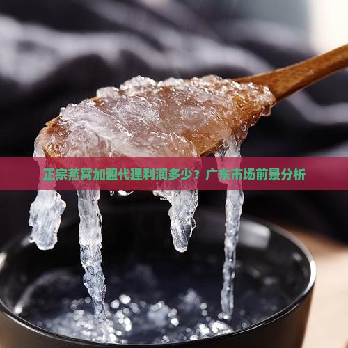 正宗燕窝加盟代理利润多少？广东市场前景分析