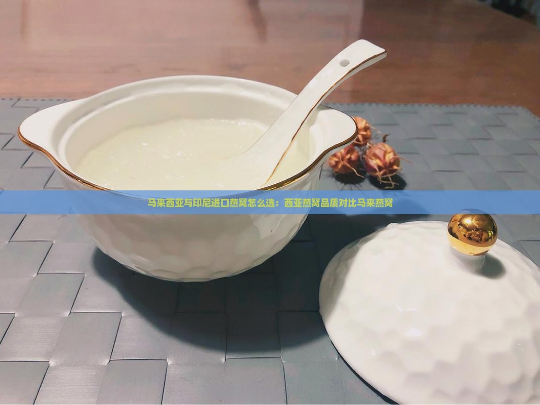 马来西亚与印尼进口燕窝怎么选：西亚燕窝品质对比马来燕窝