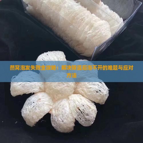 燕窝泡发失败全攻略：解决降温后泡不开的难题与应对方法