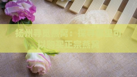 扬州寻觅燕窝：探寻哪里可以购买正宗燕窝