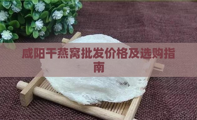 咸阳干燕窝批发价格及选购指南