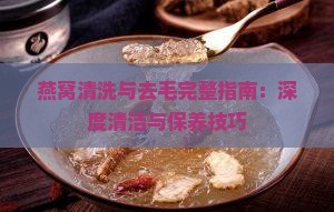 燕窝清洗与去毛完整指南：深度清洁与保养技巧