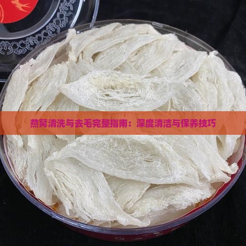 燕窝清洗与去毛完整指南：深度清洁与保养技巧