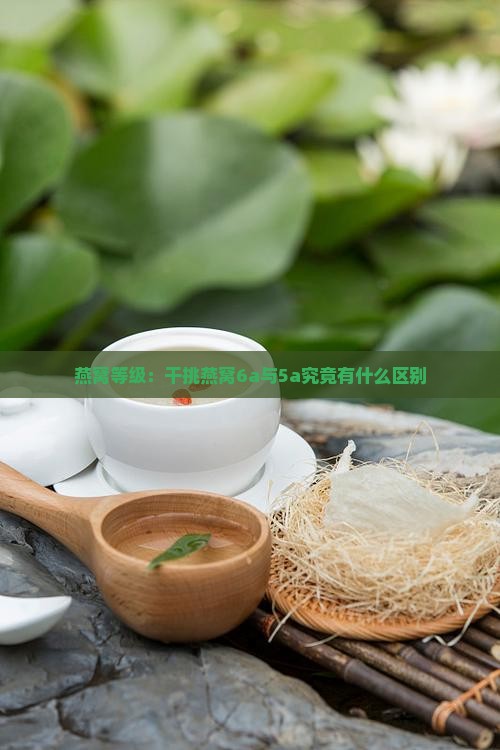 燕窝等级：干挑燕窝6a与5a究竟有什么区别