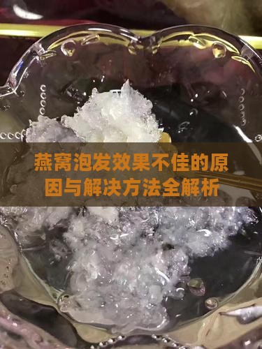燕窝泡发效果不佳的原因与解决方法全解析