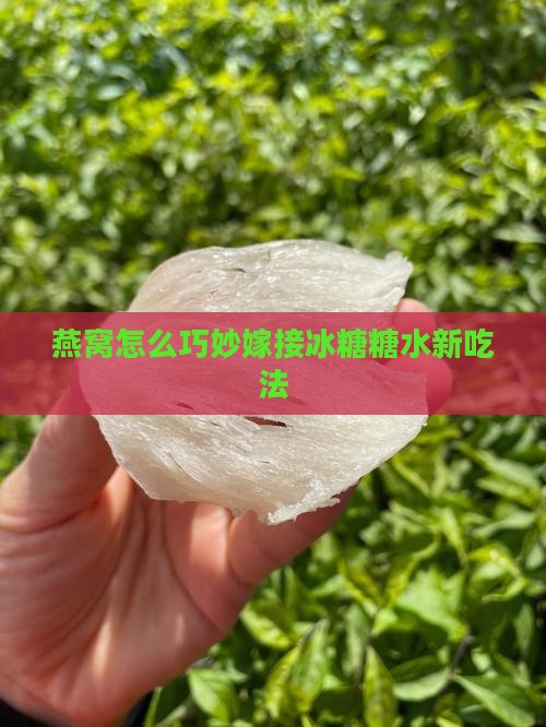燕窝怎么巧妙嫁接冰糖糖水新吃法
