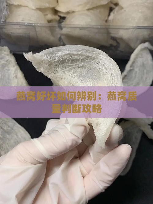 燕窝好坏如何辨别：燕窝质量判断攻略