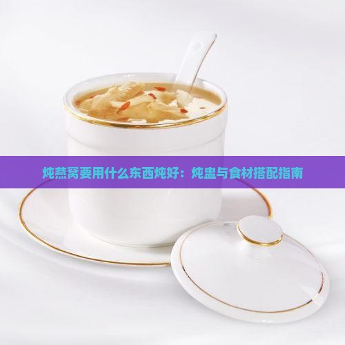 炖燕窝要用什么东西炖好：炖盅与食材搭配指南