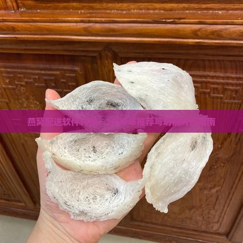 燕窝配送软件评测：2023年推荐与功能对比指南