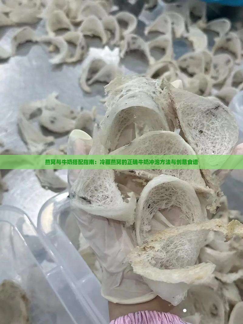 燕窝与牛奶搭配指南：冷藏燕窝的正确牛奶冲泡方法与创意食谱