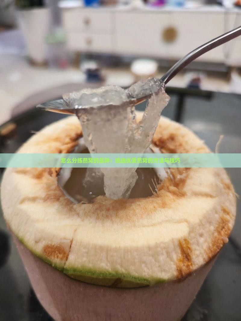怎么分拣燕窝的品种：挑选优质燕窝的方法与技巧
