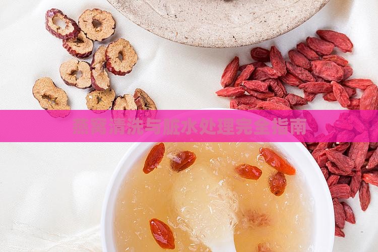 燕窝清洗与脏水处理完全指南