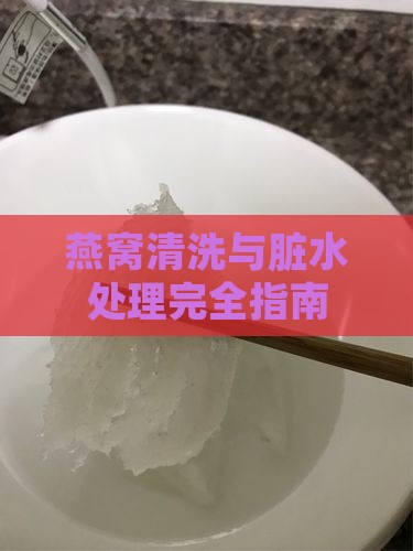 燕窝清洗与脏水处理完全指南