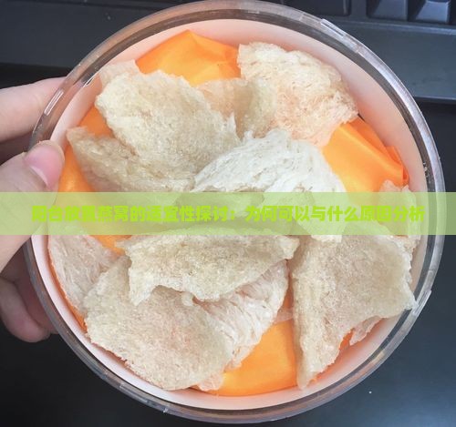 阳台放置燕窝的适宜性探讨：为何可以与什么原因分析