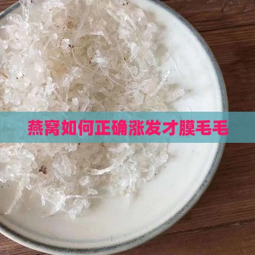 燕窝如何正确涨发才膜毛毛