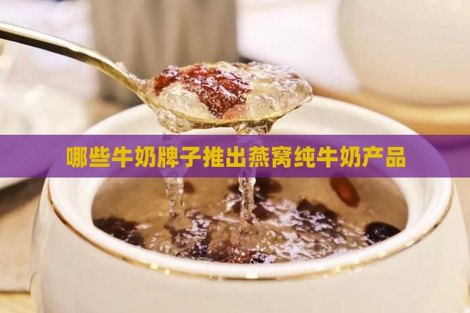 哪些牛奶牌子推出燕窝纯牛奶产品