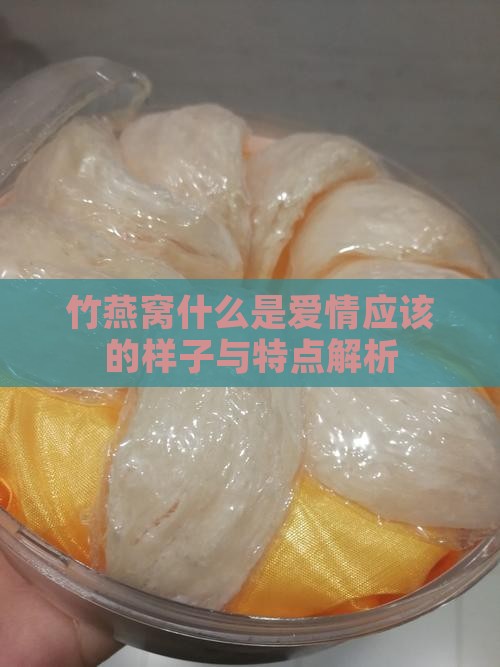 竹燕窝什么是爱情应该的样子与特点解析