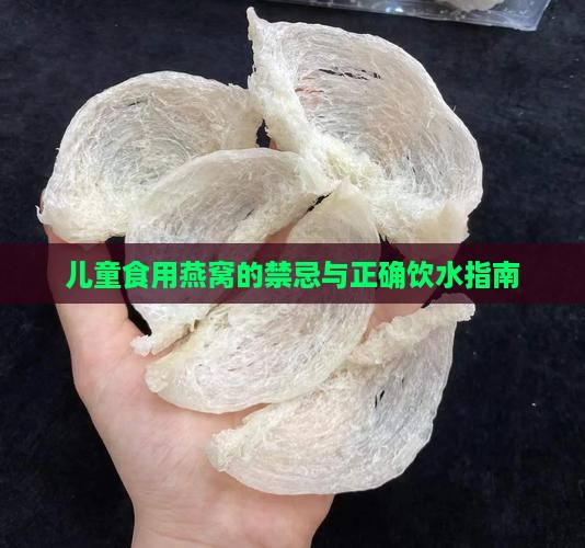 儿童食用燕窝的禁忌与正确饮水指南
