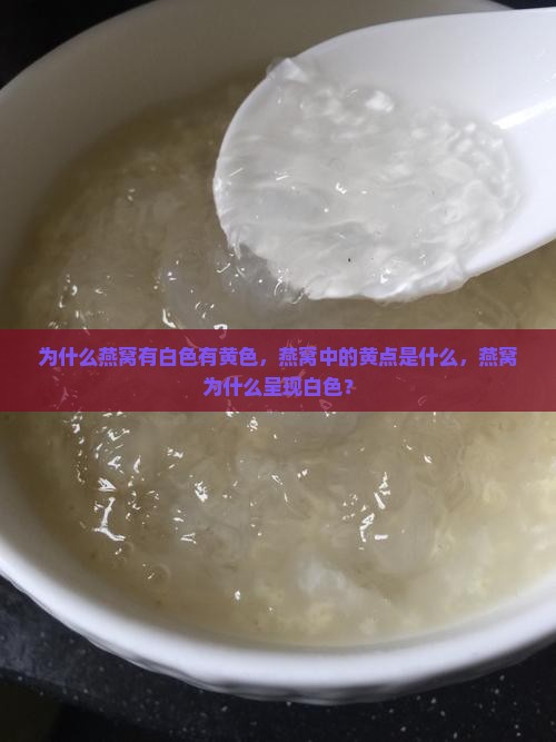 为什么燕窝有白色有黄色，燕窝中的黄点是什么，燕窝为什么呈现白色？