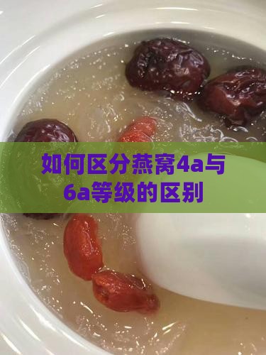 如何区分燕窝4a与6a等级的区别