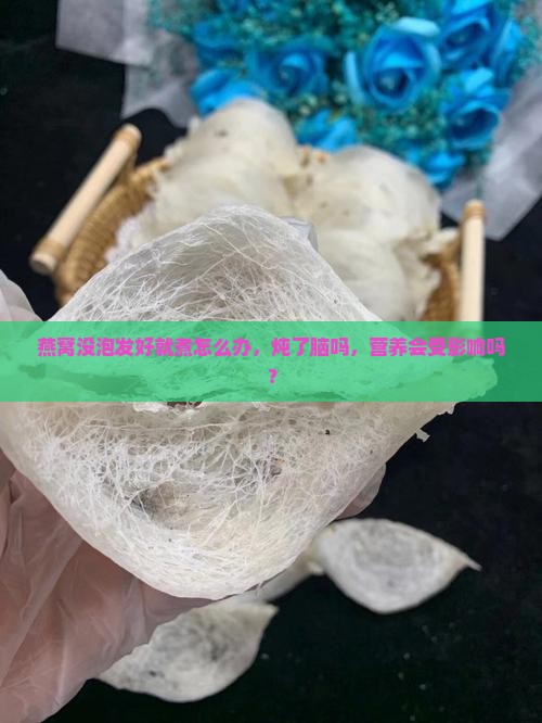 燕窝没泡发好就煮怎么办，炖了脑吗，营养会受影响吗？