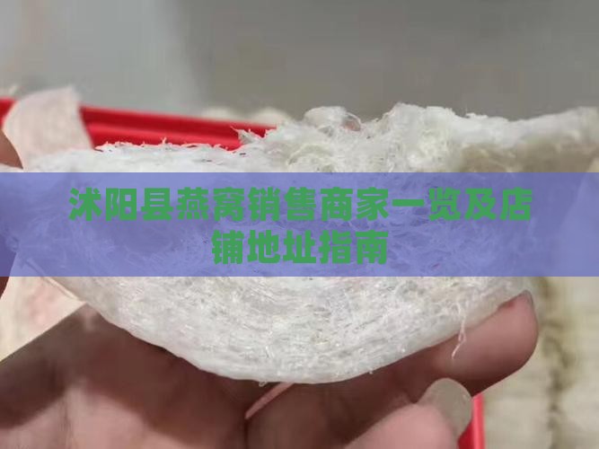 沭阳县燕窝销售商家一览及店铺地址指南