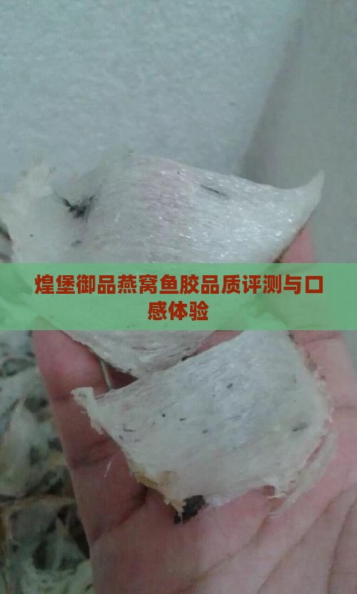 煌堡御品燕窝鱼胶品质评测与口感体验