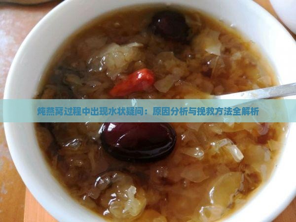 炖燕窝过程中出现水状疑问：原因分析与挽救方法全解析