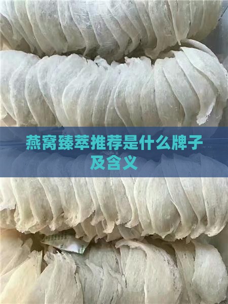 燕窝臻萃推荐是什么牌子及含义