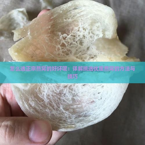 怎么选正宗燕窝的好坏呢：详解挑选优质燕窝的方法与技巧