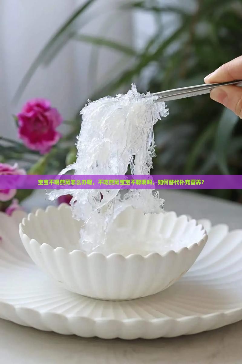 宝宝不喝燕窝怎么办呢，不吃燕窝宝宝不聪明吗，如何替代补充营养？