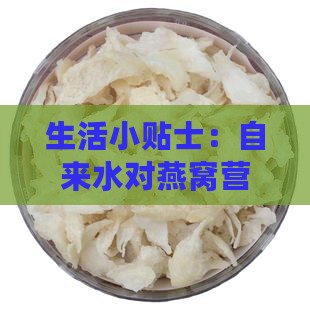 生活小贴士：自来水对燕窝营养影响知多少