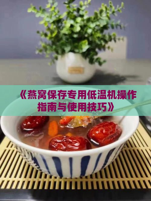 《燕窝保存专用低温机操作指南与使用技巧》