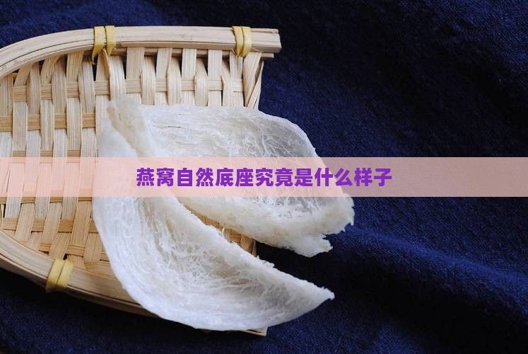 燕窝自然底座究竟是什么样子