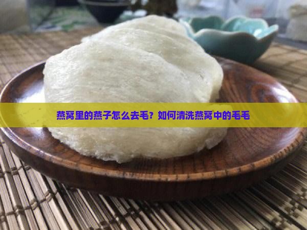 燕窝里的燕子怎么去毛？如何清洗燕窝中的毛毛