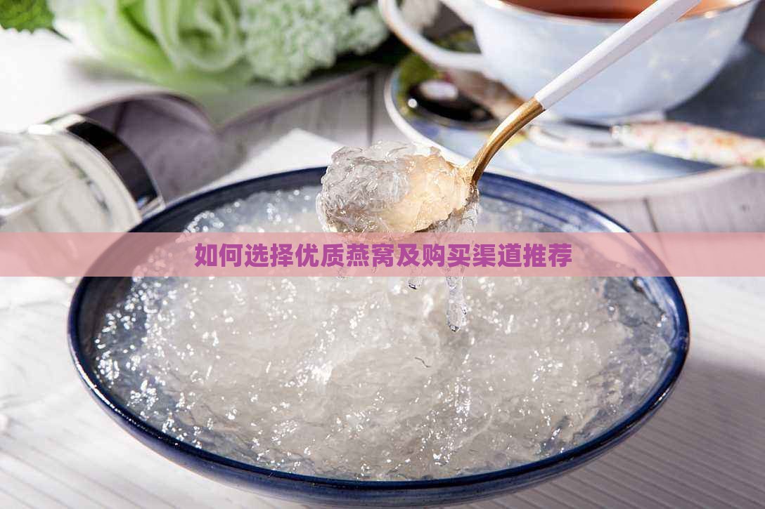 如何选择优质燕窝及购买渠道推荐