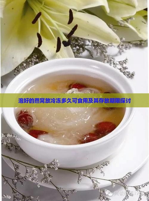 泡好的燕窝放冷冻多久可食用及其存放期限探讨