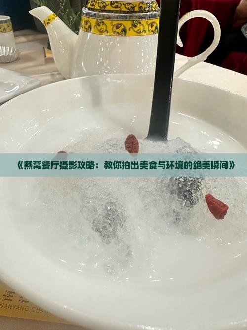 《燕窝餐厅摄影攻略：教你拍出美食与环境的绝美瞬间》