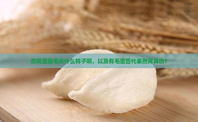 燕窝里面毛长什么样子啊，以及有毛是否代表燕窝真伪？