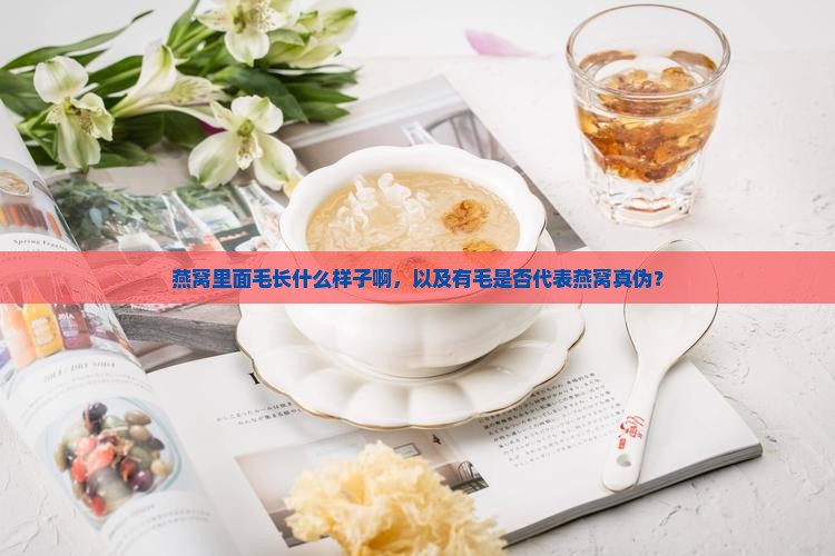 燕窝里面毛长什么样子啊，以及有毛是否代表燕窝真伪？