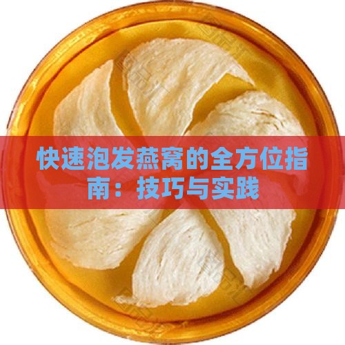 快速泡发燕窝的全方位指南：技巧与实践