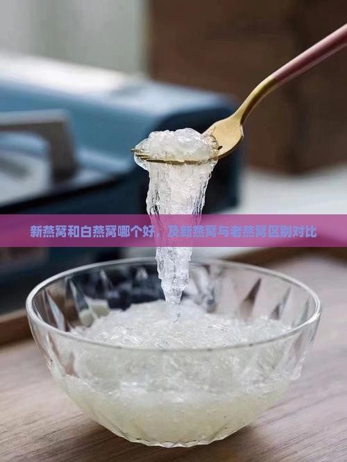 新燕窝和白燕窝哪个好，及新燕窝与老燕窝区别对比