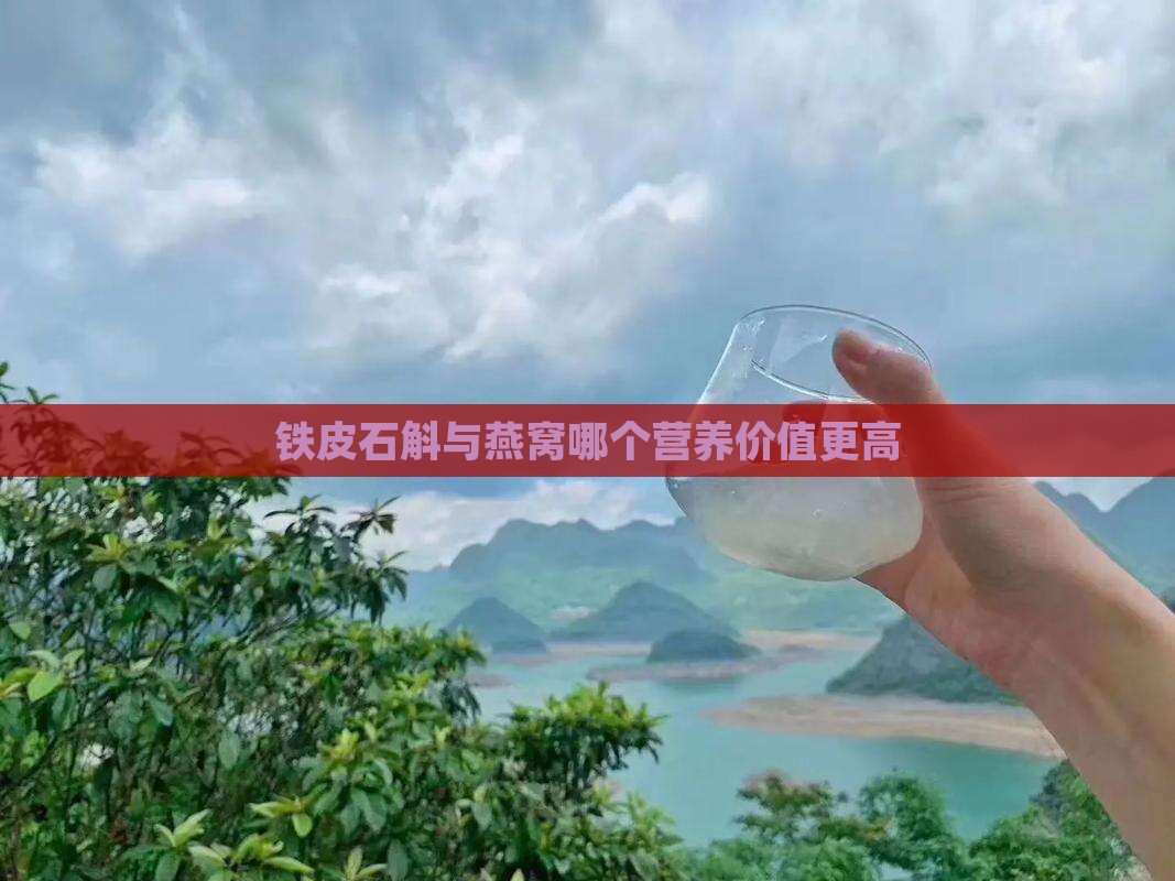 铁皮石斛与燕窝哪个营养价值更高