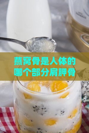 燕窝骨是人体的哪个部分肩胛骨的一部分