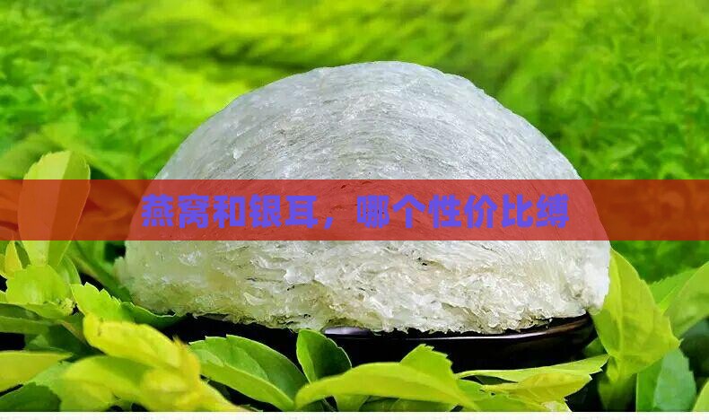 燕窝和银耳，哪个性价比缚